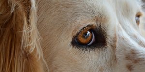 ΦΩΤΟΓΡΑΦΙΑ ΑΡΧΕΙΟΥ: ΑΠΕ-ΜΠΕ / ΜΠΟΥΓΙΩΤΗΣ ΕΥΑΓΓΕΛΟΣ