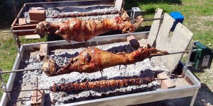 EUROKINISSI/ΚΟΥΤΡΟΥΜΑΝΟΣ ΒΑΣΙΛΗΣ