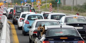 Φωτογραφία: EUROKINISSI