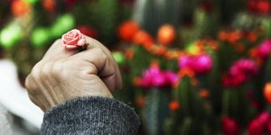 Φωτογραφία: Nikos Libertas / SOOC