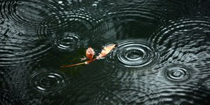 ΦΩΤΟΓΡΑΦΙΑ: EUROKINISSI