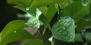 ΦΩΤΟΓΡΑΦΙΑ: EUROKINISSI