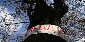 Φωτογαφία: Eurokinissi 