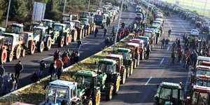 ΦΩΤΟΓΡΑΦΙΑ: EUROKINISSI /ΘΑΝΑΣΗΣ ΚΑΛΛΙΑΡΑΣ