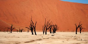 (η έρημος στην Ναμίμπια)