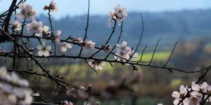 ΦΩΤΟΓΡΑΦΙΑ: EUROKINISSI