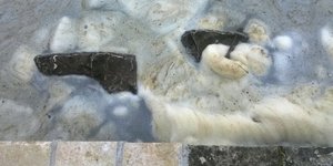 (φωτογραφία: epirusgate.blogspot.gr)