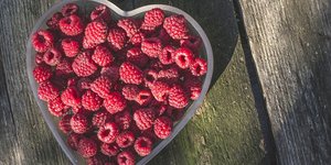 Φωτογραφία: pixabay.com