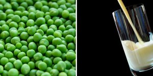 ΦΩΤΟΓΡΑΦΙΑ: Pixabay