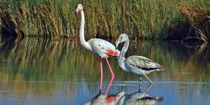 ΦΩΤΟΓΡΑΦΙΑ: ΑΠΕ 