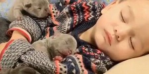 Φωτογραφία: instagram.com/youngbullies/