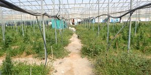 ΦΩΤΟΓΡΑΦΙΑ ΑΡΧΕΙΟΥ: EUROKINISSI