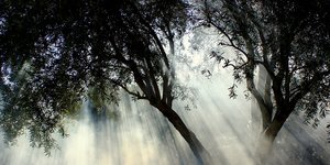 Φωτογραφία: pixabay.com