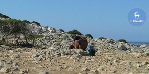 ΦΩΤΟΓΡΑΦΙΑ: rodiaki.gr