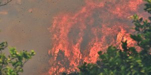 Φωτογραφία: ΑΠΕ-ΜΠΕ/ΜΠΟΥΓΙΩΤΗΣ ΕΥΑΓΓΕΛΟΣ