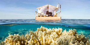 φωτογραφίες: mymodernmet.com