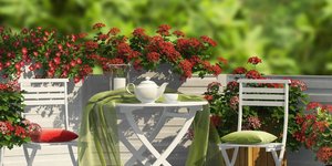 Φωτογραφία: shutterstock