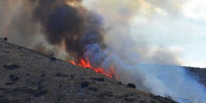 Φωτογραφία: Eurokinissi/Βασίλης Παπαδόπουλος