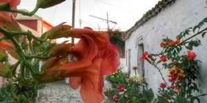 ΦΩΤΟΓΡΑΦΙΑ: EUROKINISSI/ΓΙΩΡΓΟΣ ΚΟΝΤΑΡΙΝΗΣ