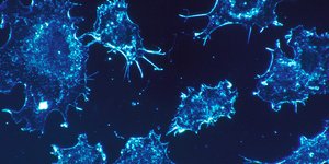 Φωτογραφία: Commons.Wikimedia