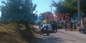 ΦΩΤΟΓΡΑΦΙΑ: mesogianews.gr