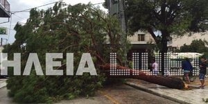 Φωτογραφία: ilialive 