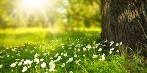 φωτογραφία: pixabay.com