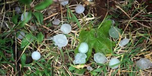 Πηγή φωτογραφίας: EUROKINISSI 