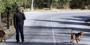 Φωτογραφία αρχείου: EUROKINISSI/ ΒΑΪΟΣ ΧΑΣΙΑΛΗΣ