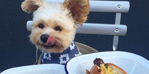 Φωτογραφία: Instagram @popeyethefoodie