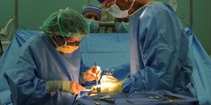 Φωτογραφία: Pixabay