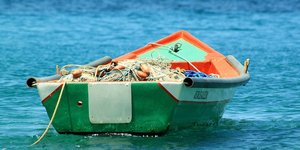 φωτογραφίες: pixabay.com