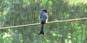 Φωτογραφία: flickr 