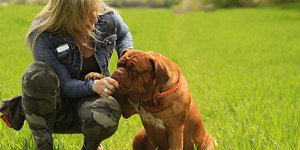 φωτογραφία: pixabay.com