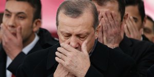 ΦΩΤΟΓΡΑΦΙΕΣ: AP 