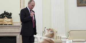 Φωτογραφία: ΑP/ Alexei Druzhinin