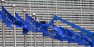 Φωτογραφία: ΑP/ Virginia Mayo