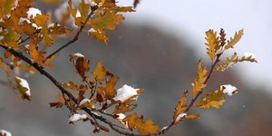 Φωτογραφία: EUROKINISSI/ΘΑΝΑΣΗΣ ΚΑΛΛΙΑΡΑΣ