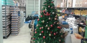 Φωτογραφία: Postlarisa