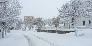 ΦΩΤΟΓΡΑΦΙΑ: SOOC