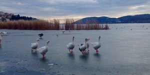 Φωτογραφία: ΑΠΕ-ΜΠΕ