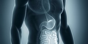 Φωτογραφία: Shutterstock