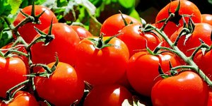 φωτογραφία: pixabay.com