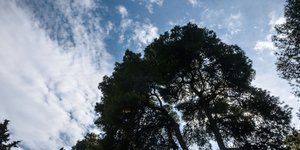 Φωτογραφία: Intime/ΧΑΛΚΙΟΠΟΥΛΟΣ ΝΙΚΟΣ