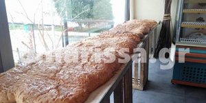 ΦΩΤΟΓΡΑΦΙΑ: onlarissa.gr