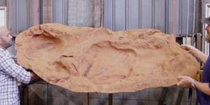 Φωτογραφία: The University of Queensland/Courtesy of Steve Salisbury