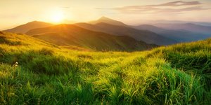 Φωτογραφία: Shutterstock