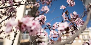 ΦΩΤΟΓΡΑΦΙΑ: Konstantinos Tsakalidis / SOOC