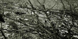 Φωτογραφία: Εurokinissi