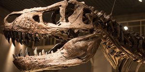 Φωτογραφία: Shutterstock 